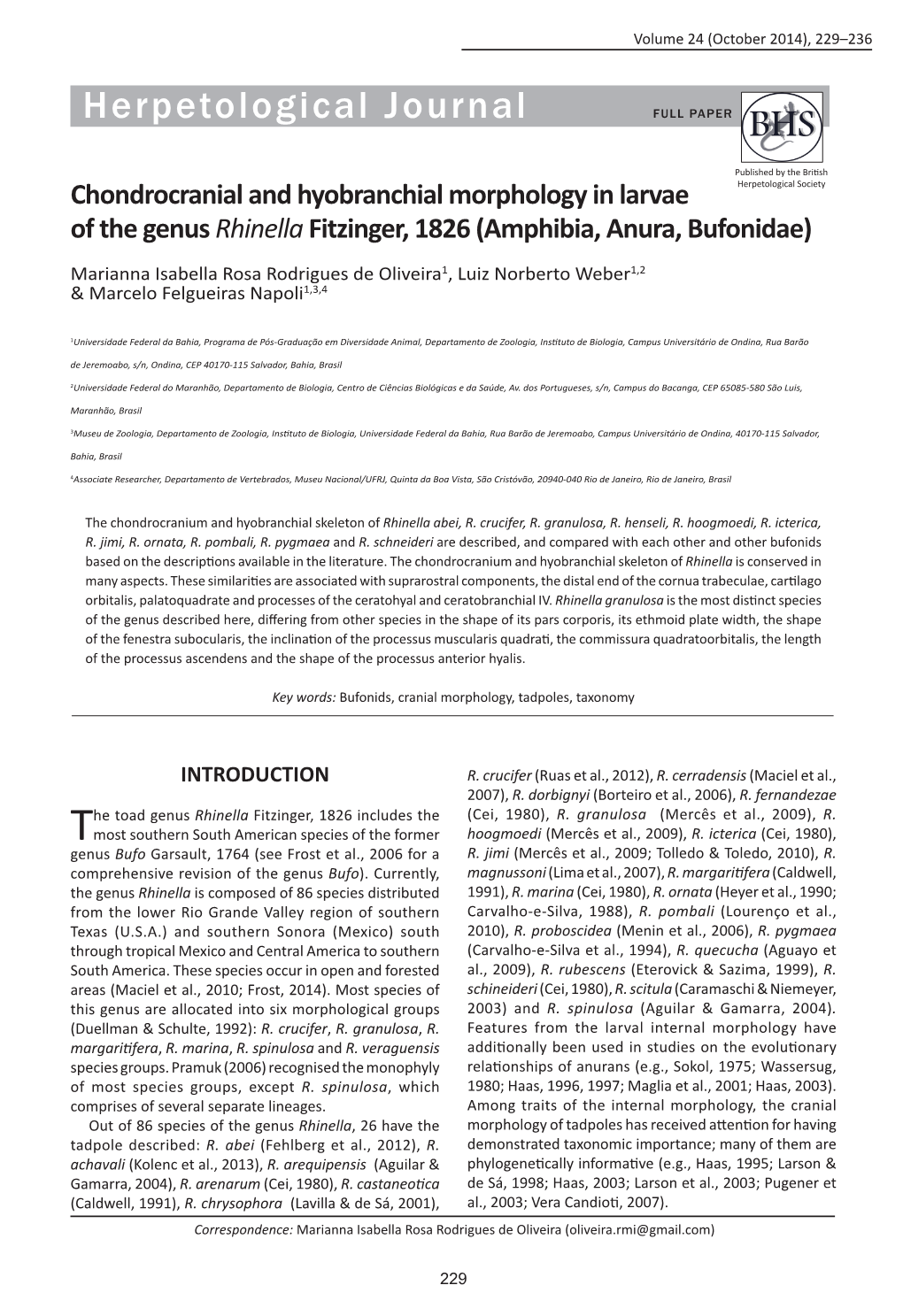 Chondrocranial and Hyobranchial Morphology in Larvae of the Genus