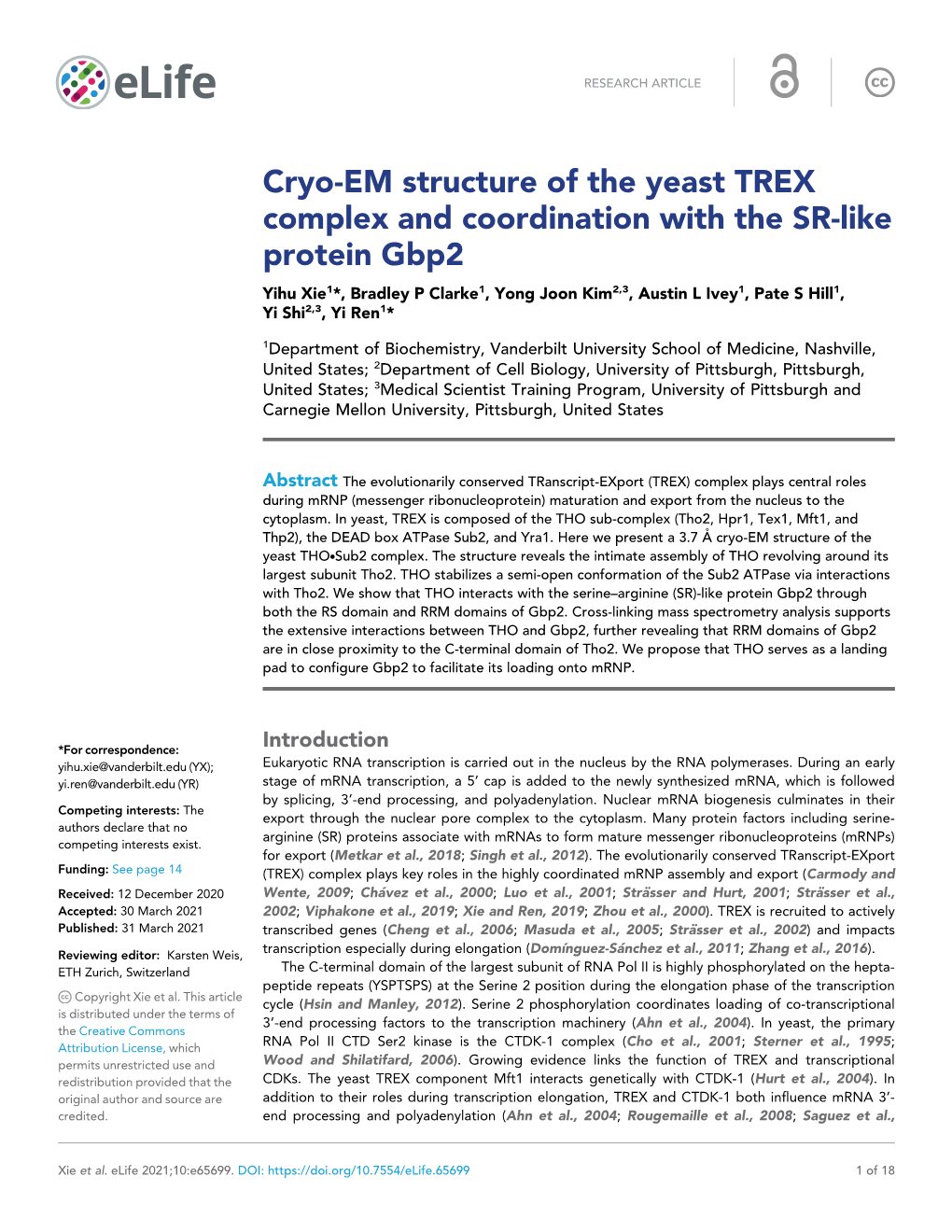 Cryo-EM Structure of the Yeast TREX Complex and Coordination with The