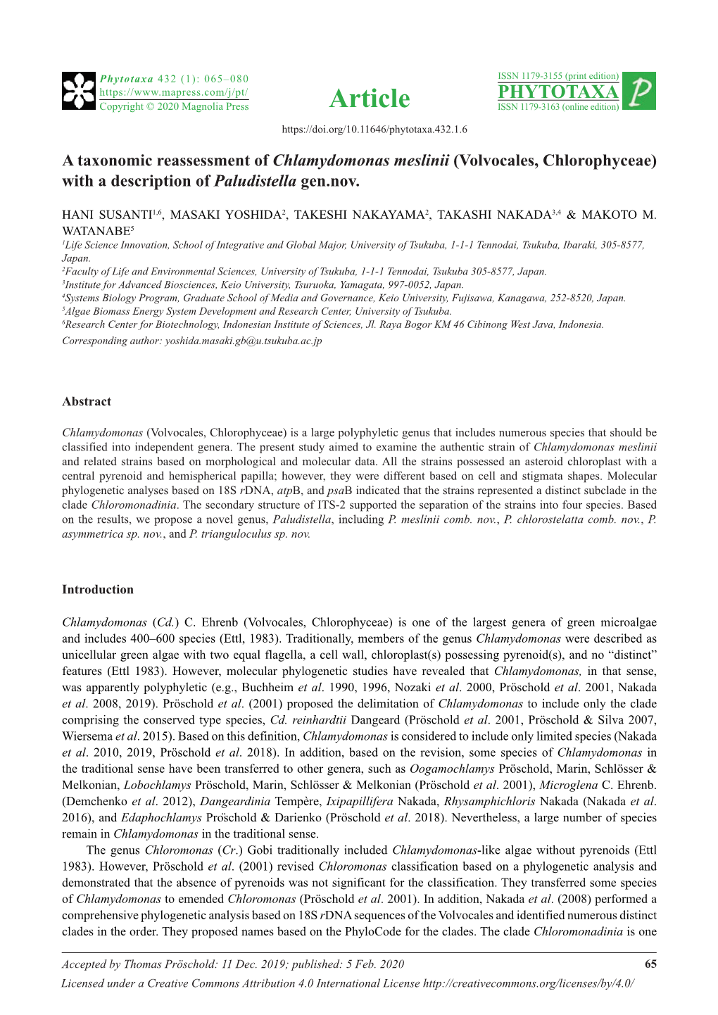 A Taxonomic Reassessment of Chlamydomonas Meslinii (Volvocales, Chlorophyceae) with a Description of Paludistella Gen.Nov