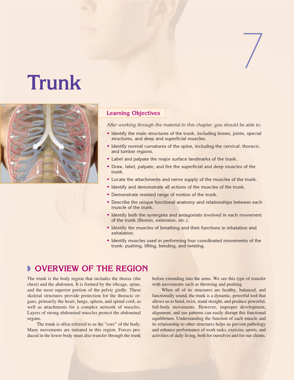 OVERVIEW of the REGION the Trunk Is the Body Region That Includes the Thorax (The Before Extending Into the Arms