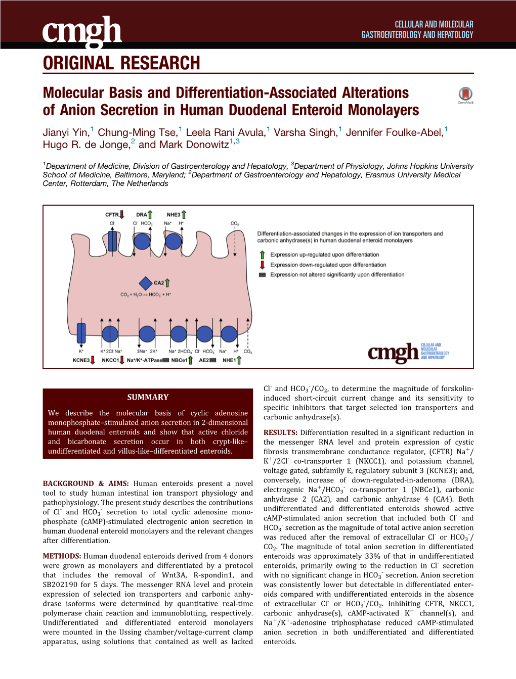 Molecular Basis and Differentiation-Associated Alterations of Anion Secretion in Human Duodenal Enteroid Monolayers