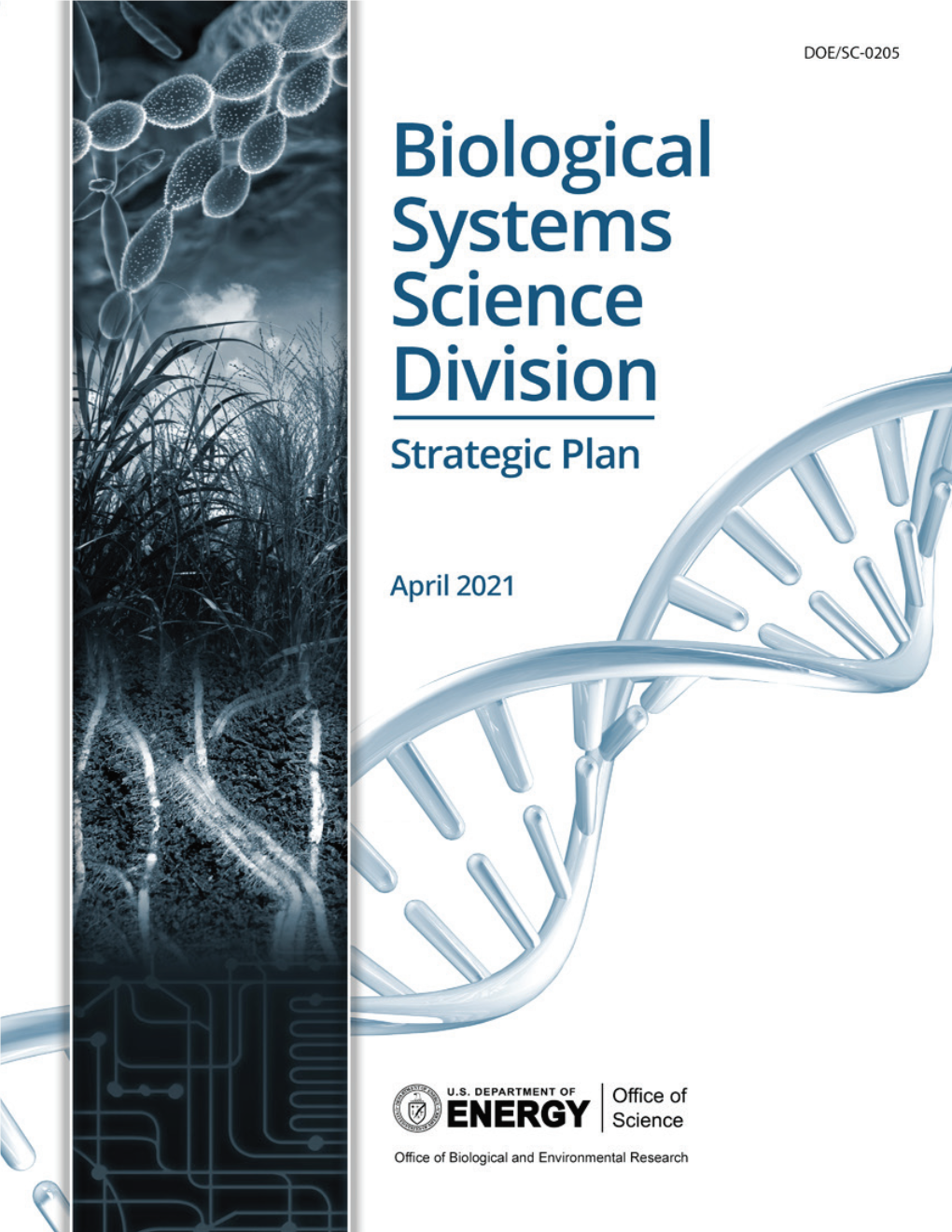 BSSD Strategic Plan 2021.Pdf