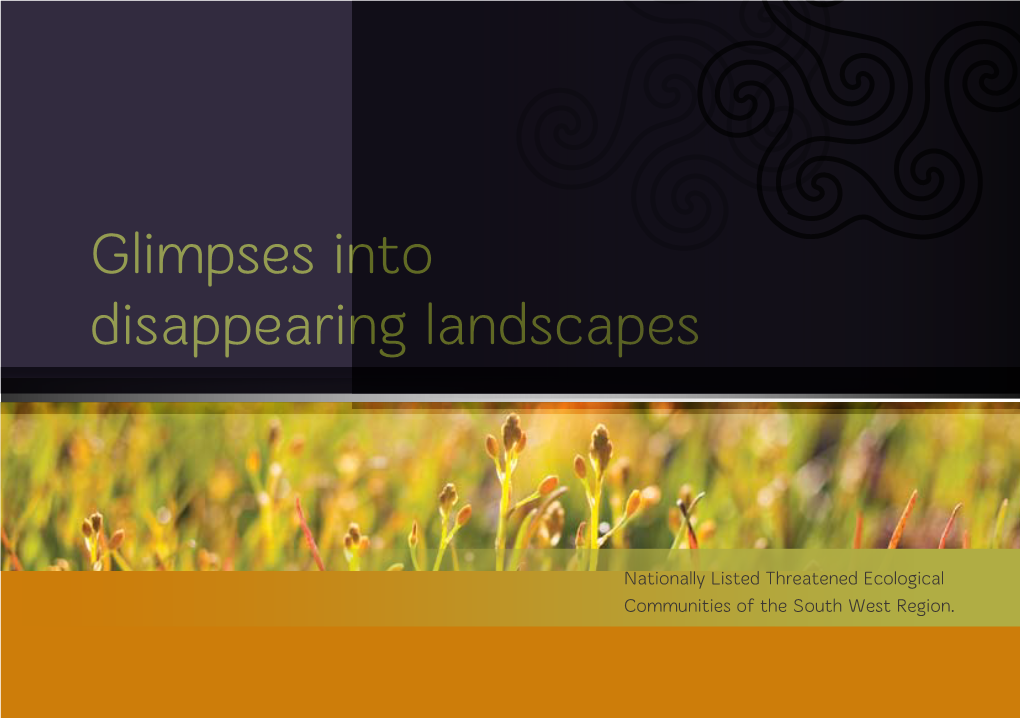 Glimpses Into Disappearing Landscapes
