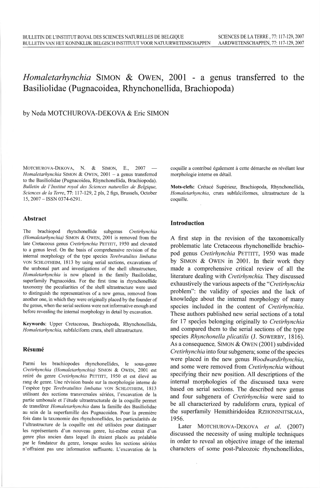 Homaletarhynchia Slmon & OWEN, 2001 Transferred to the Basiliolidae