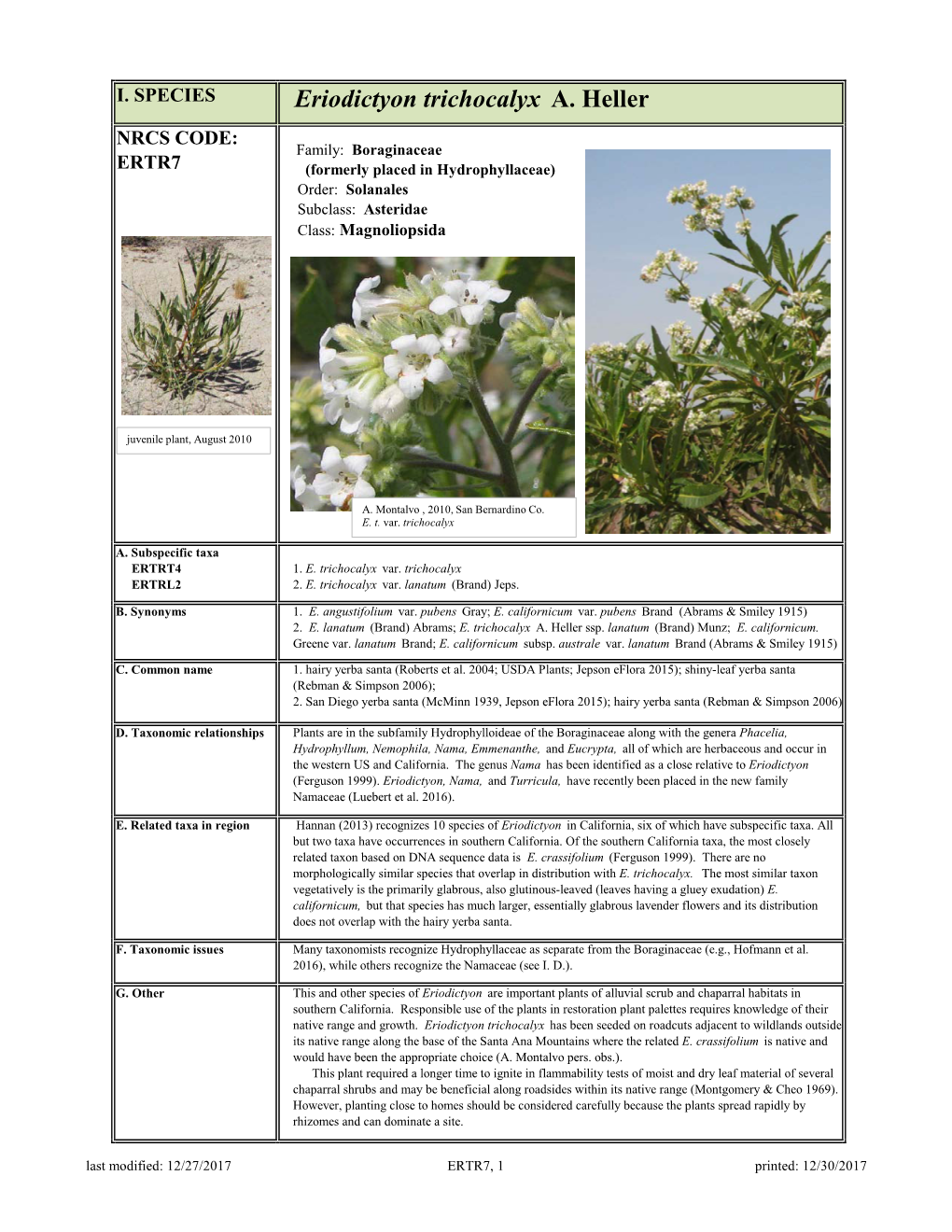 Eriodictyon Trichocalyx A. Heller NRCS CODE: Family: Boraginaceae ERTR7 (Formerly Placed in Hydrophyllaceae) Order: Solanales Subclass: Asteridae Class: Magnoliopsida