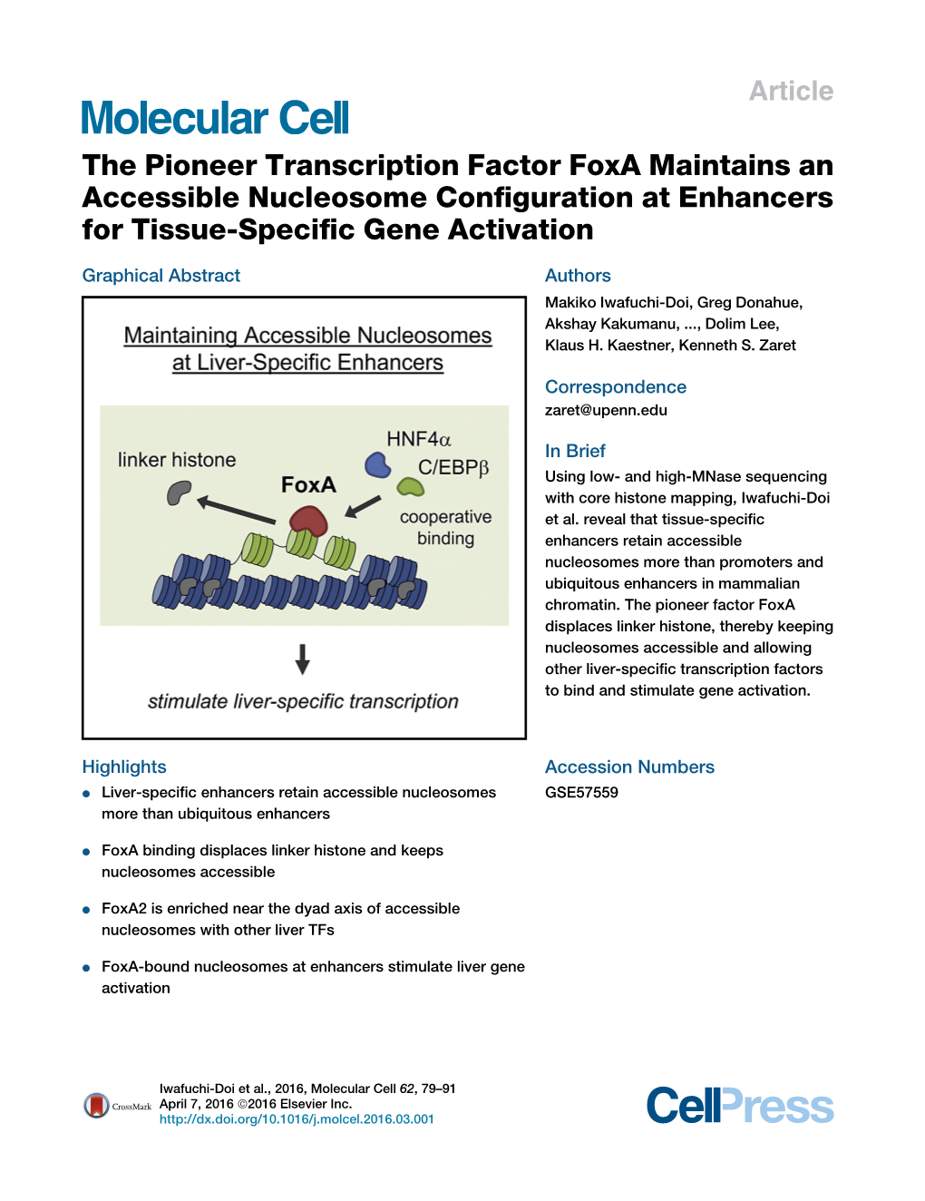 The Pioneer Transcription Factor Foxa Maintains an Accessible Nucleosome Conﬁguration at Enhancers for Tissue-Speciﬁc Gene Activation