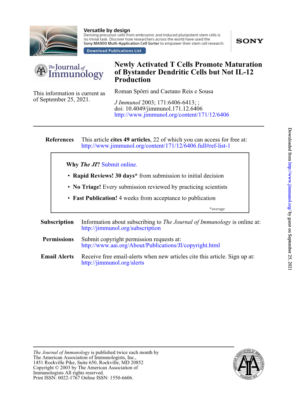 Production of Bystander Dendritic Cells but Not IL-12 Newly Activated