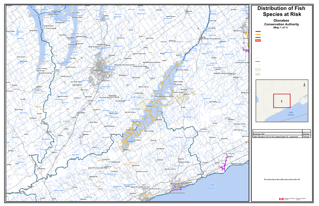 Distribution of Fish Species at Risk