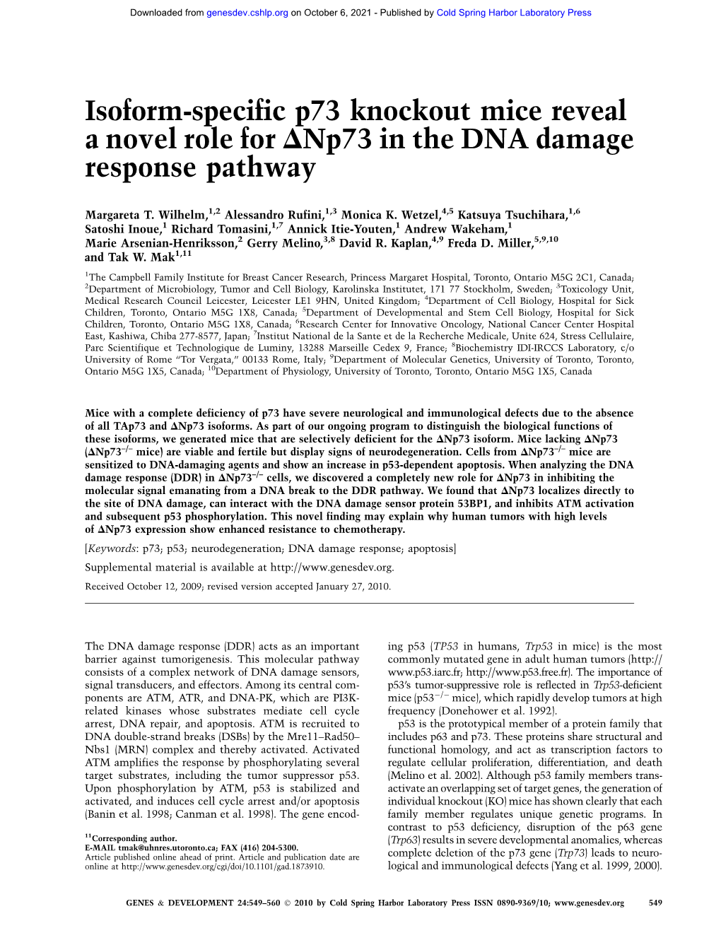 Isoform-Specific P73 Knockout Mice Reveal a Novel Role for Dnp73 in the DNA Damage Response Pathway