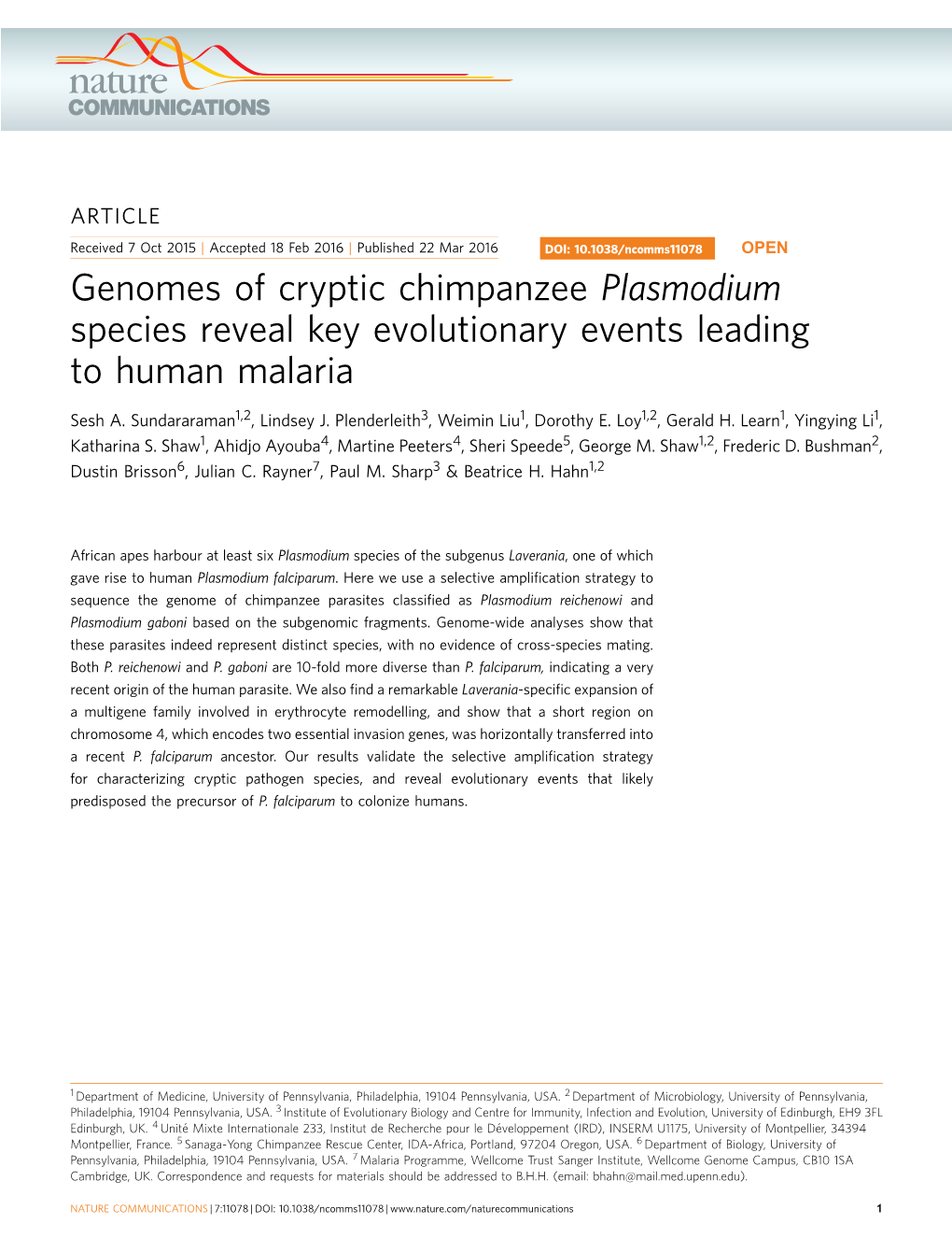 Genomes of Cryptic Chimpanzee Plasmodium Species Reveal Key Evolutionary Events Leading to Human Malaria