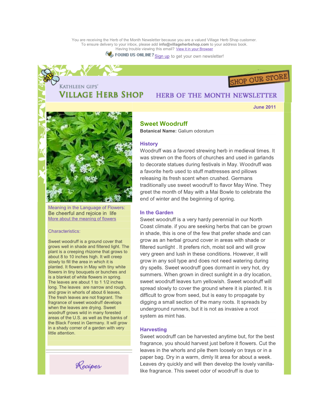 Sweet Woodruff Botanical Name: Galium Odoratum