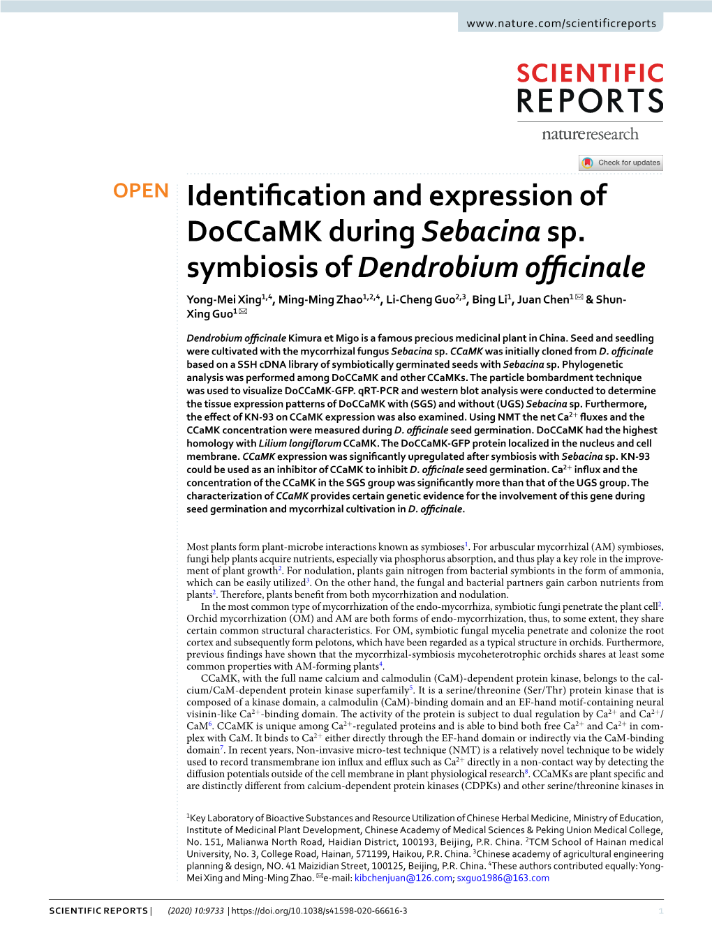 Identification and Expression of Doccamk During Sebacina Sp