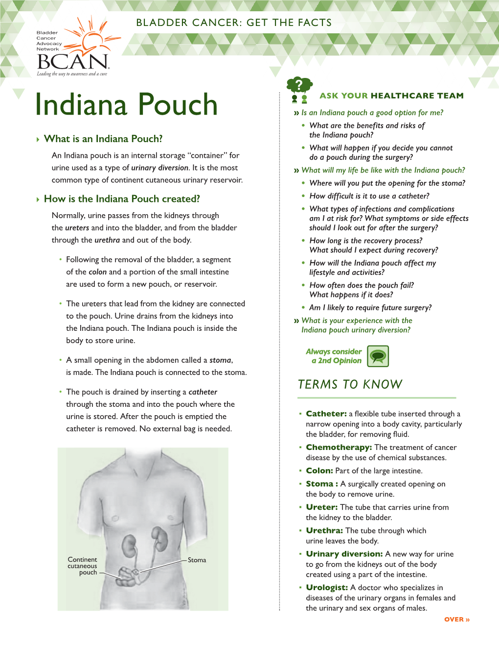 Indiana Pouch