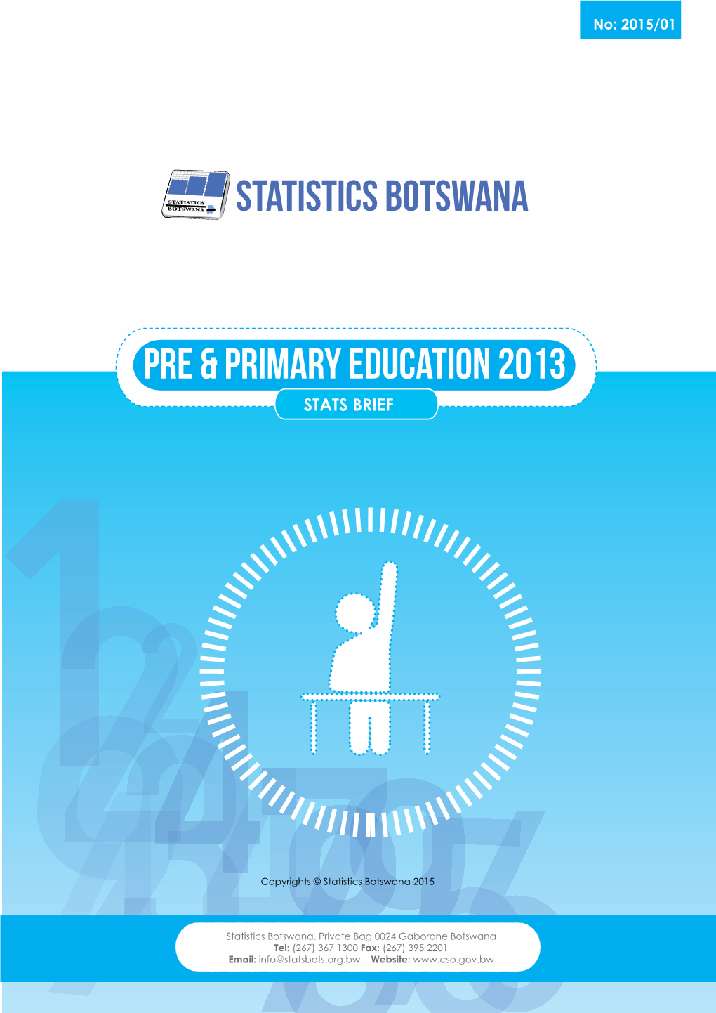 Pre Primary Education 2013