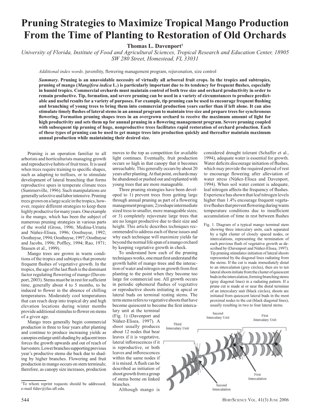 Pruning Strategies to Maximize Tropical Mango Production from the Time of Planting to Restoration of Old Orchards Thomas L