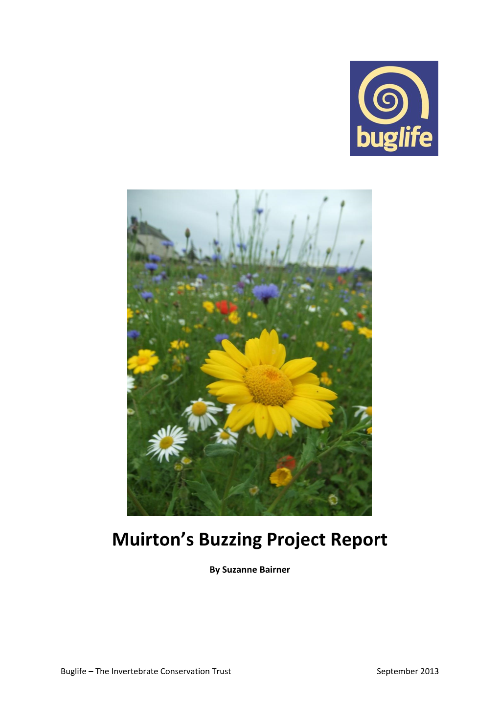 Muirton's Buzzing Project Report