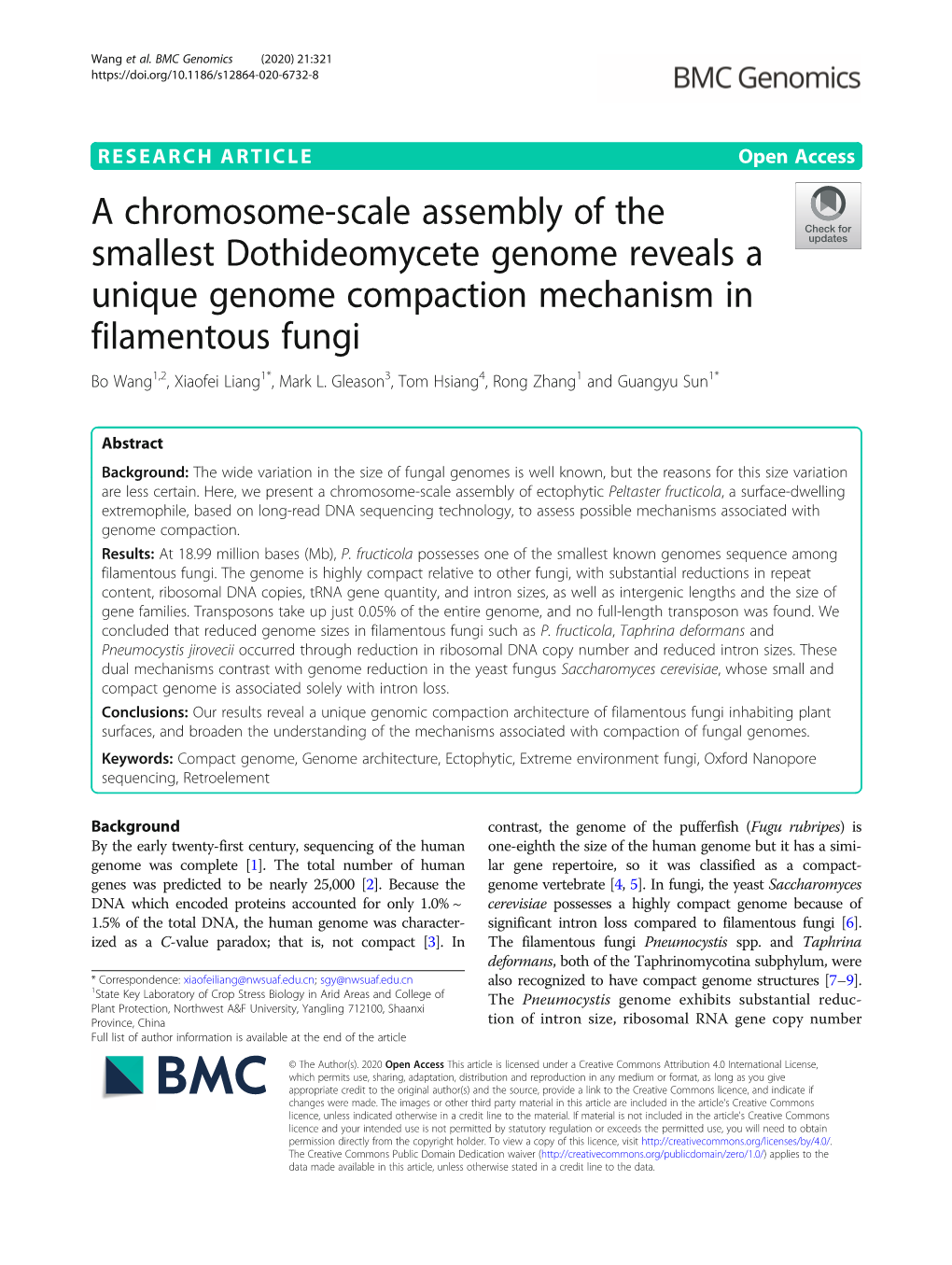 A Chromosome-Scale Assembly of the Smallest Dothideomycete Genome