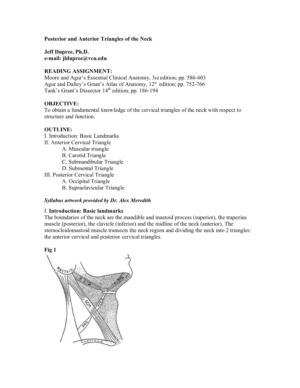 Posterior & Anterior Triangles Neck