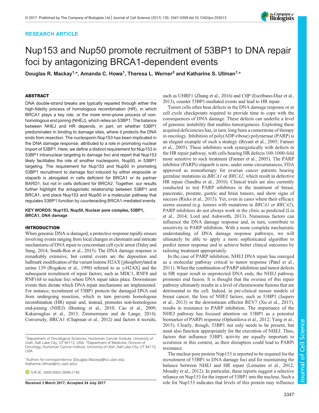 Nup153 and Nup50 Promote Recruitment of 53BP1 to DNA Repair Foci by Antagonizing BRCA1-Dependent Events Douglas R