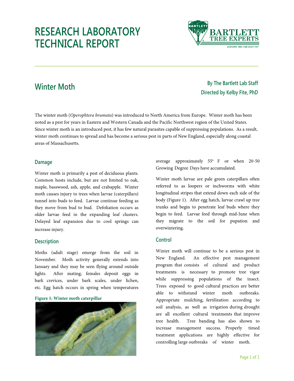 Winter Moth by the Bartlett Lab Staff Directed by Kelby Fite, Phd