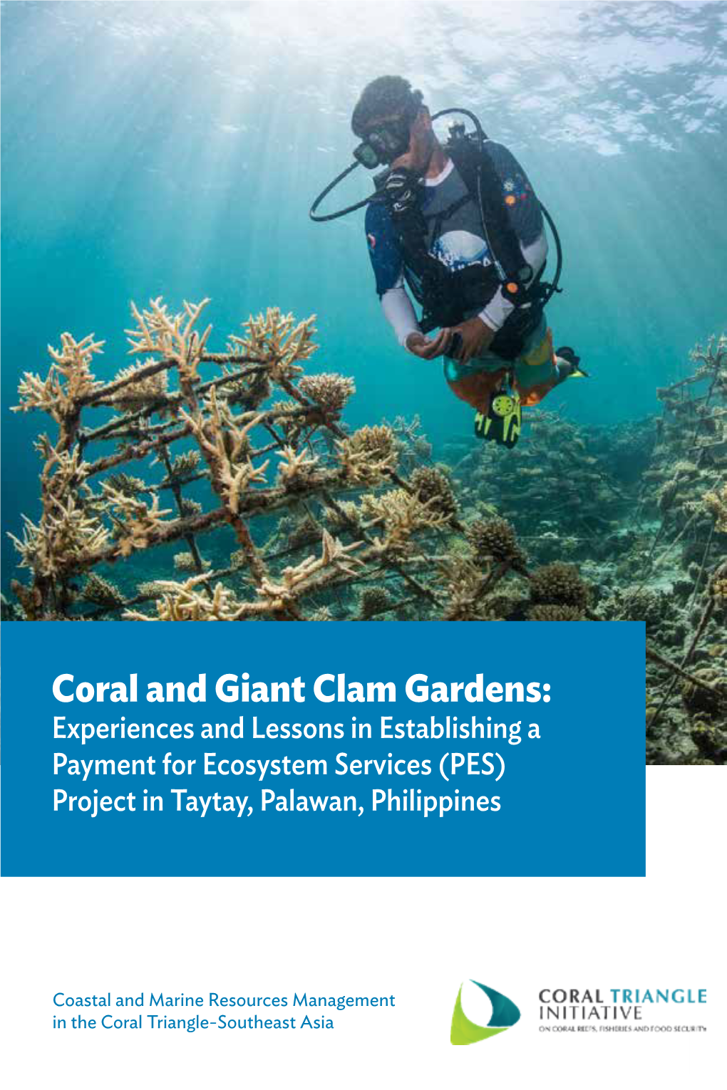 Coral and Giant Clam Gardens: Experiences and Lessons in Establishing a Payment for Ecosystem Services (PES) Project in Taytay, Palawan, Philippines