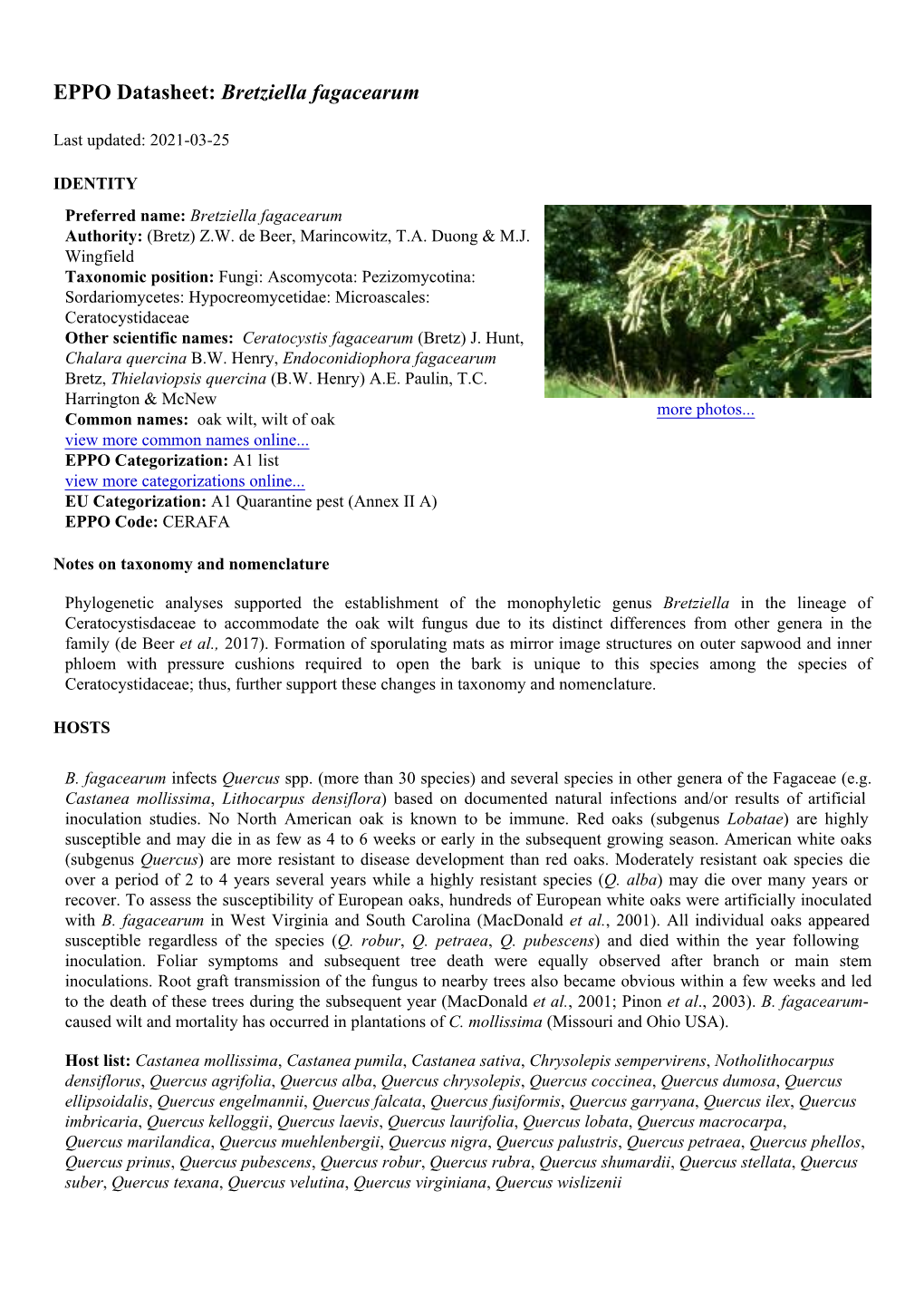 EPPO Datasheet: Bretziella Fagacearum