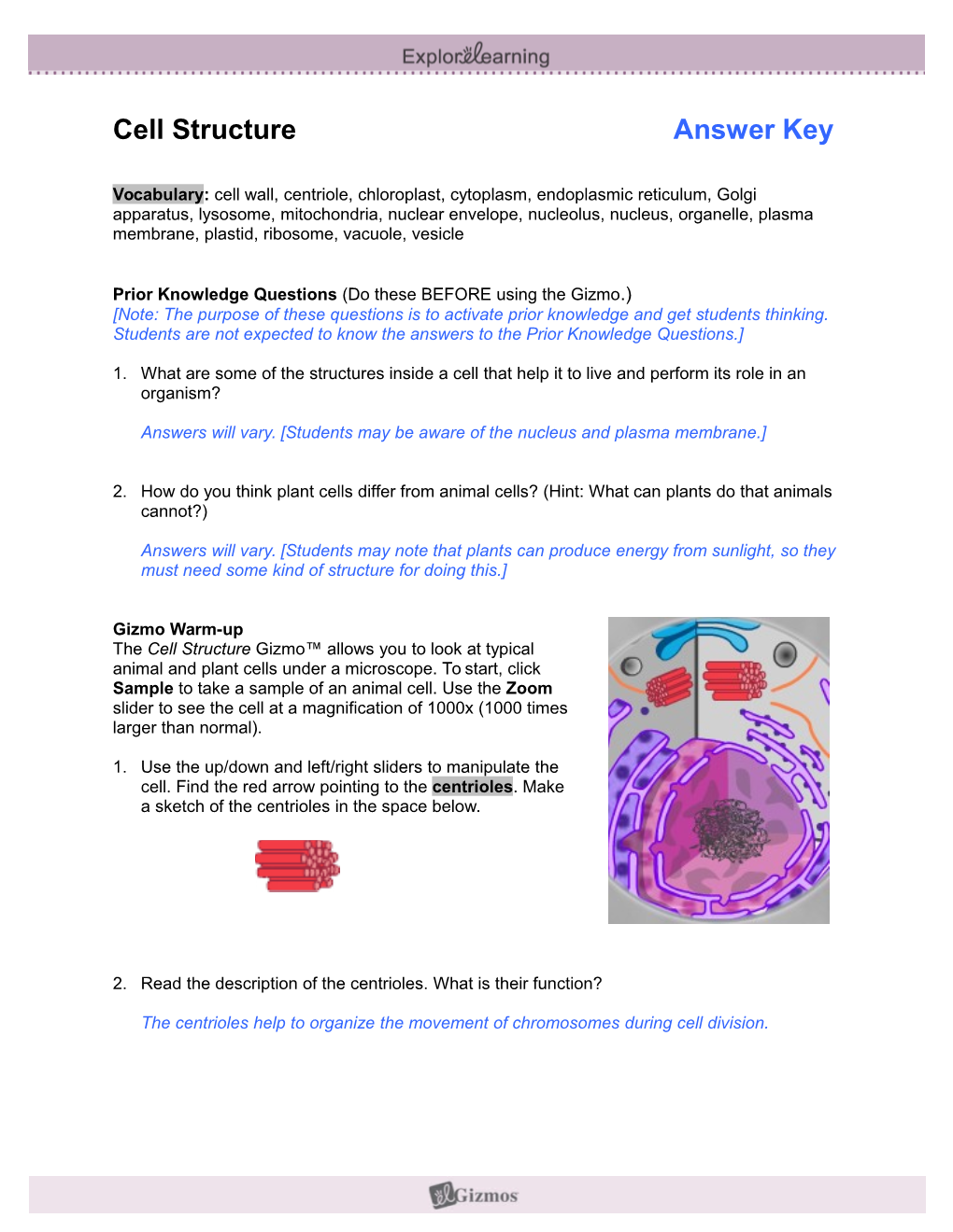 Cell Structure Answer Key