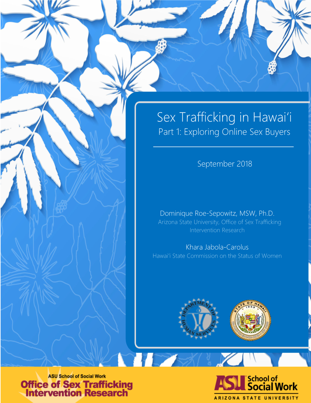 Sex Trafficking in Hawai'i Part 1: Exploring Online Sex Buyers