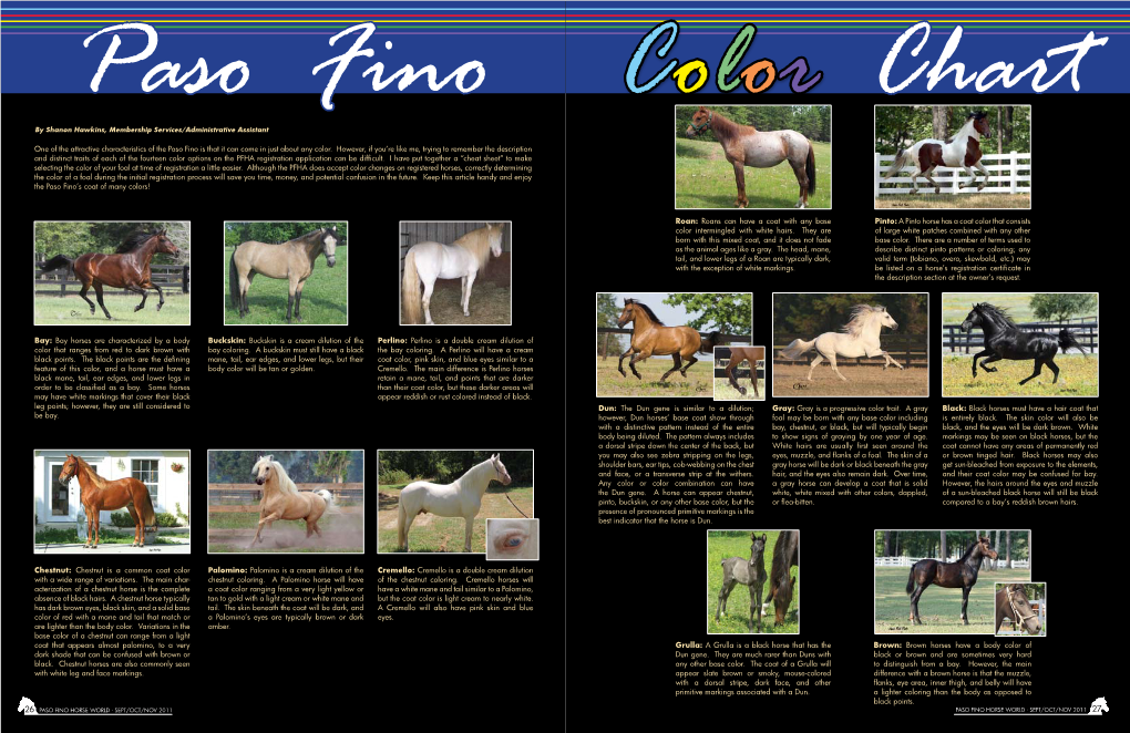 One of the Attractive Characteristics of the Paso Fino Is That It Can Come in Just About Any Color