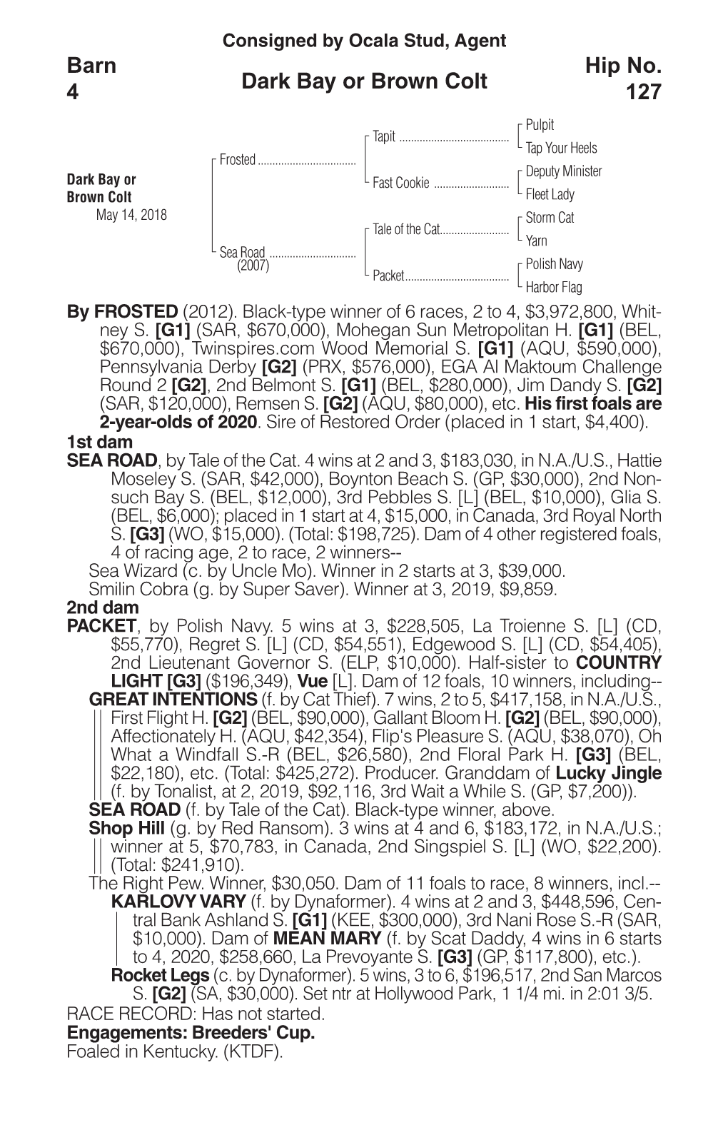 Dark Bay Or Brown Colt Barn 4 Hip No