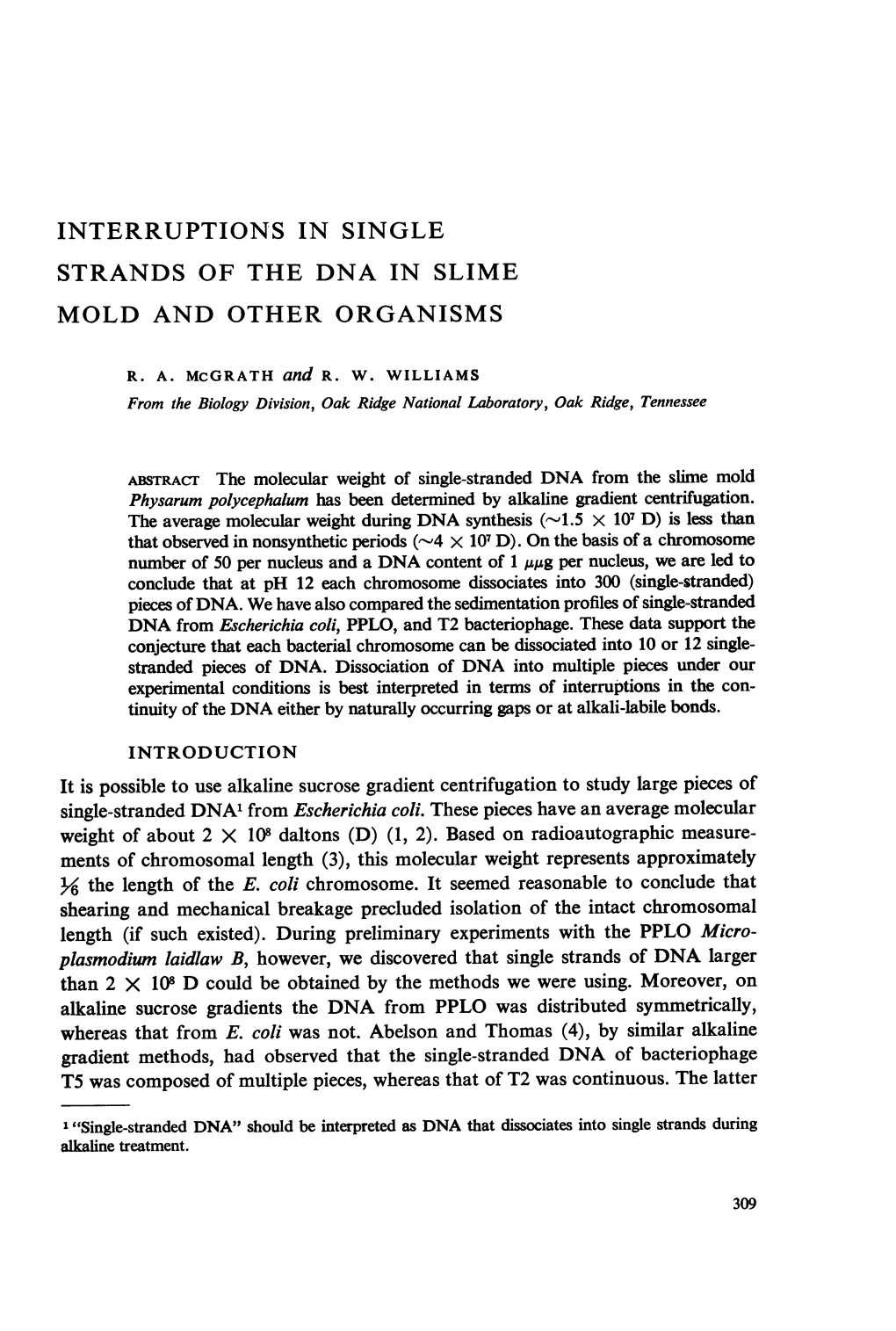 Interruptions in Single Strands of the Dna in Slime Mold and Other Organisms