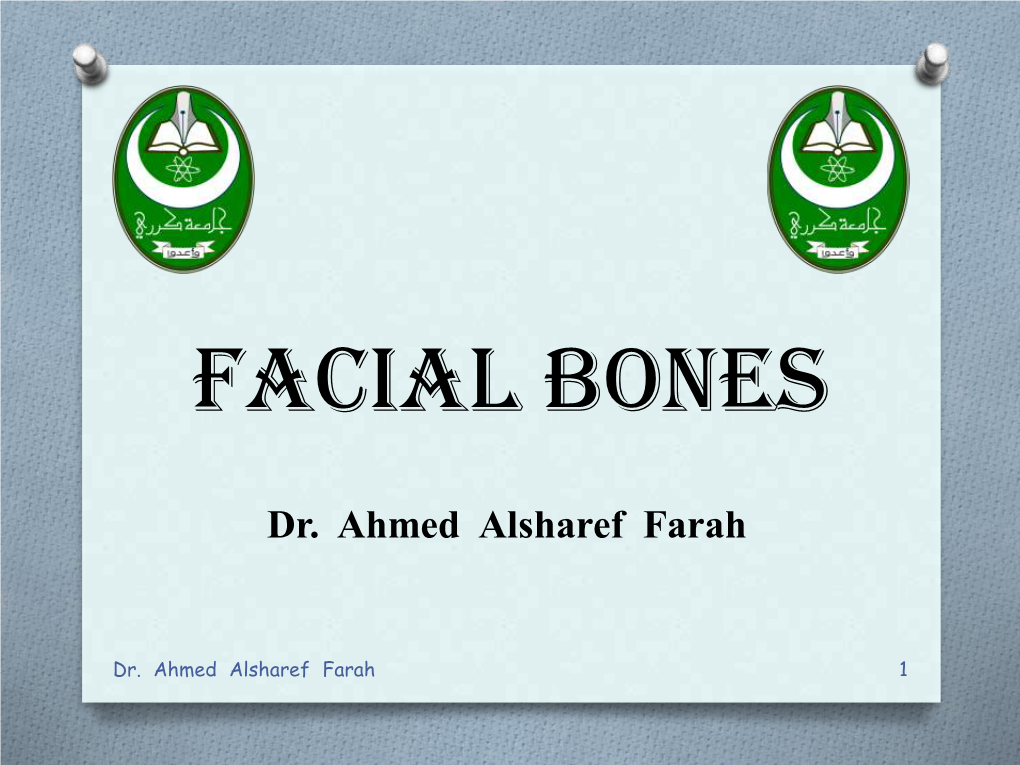 Facial Bones