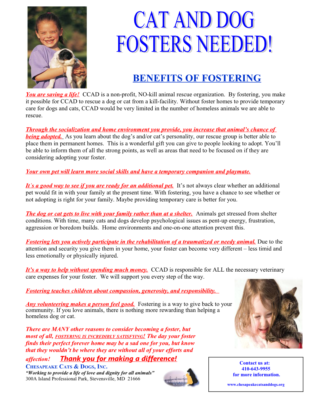 Cat and Dog Fosters Needed