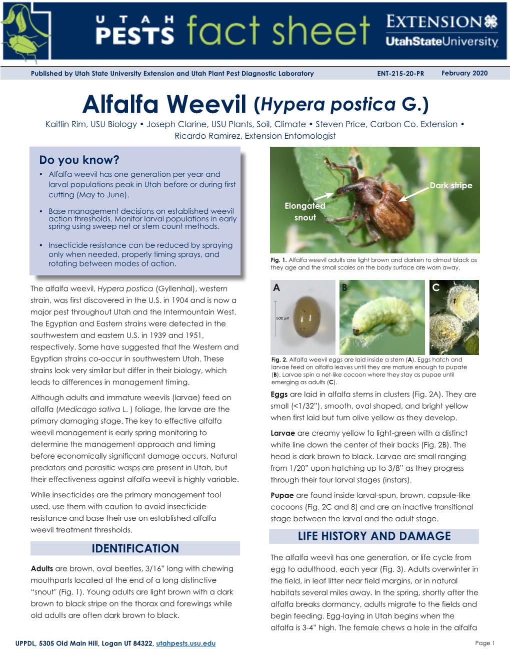 Alfalfa Weevil (Hypera Postica G.) Kaitlin Rim, USU Biology • Joseph Clarine, USU Plants, Soil, Climate • Steven Price, Carbon Co