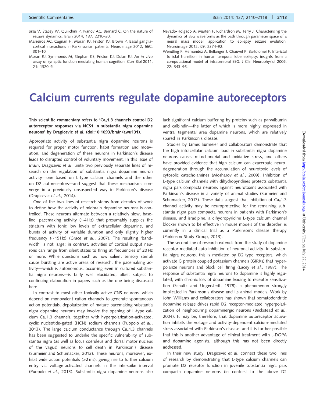 Calcium Currents Regulate Dopamine Autoreceptors