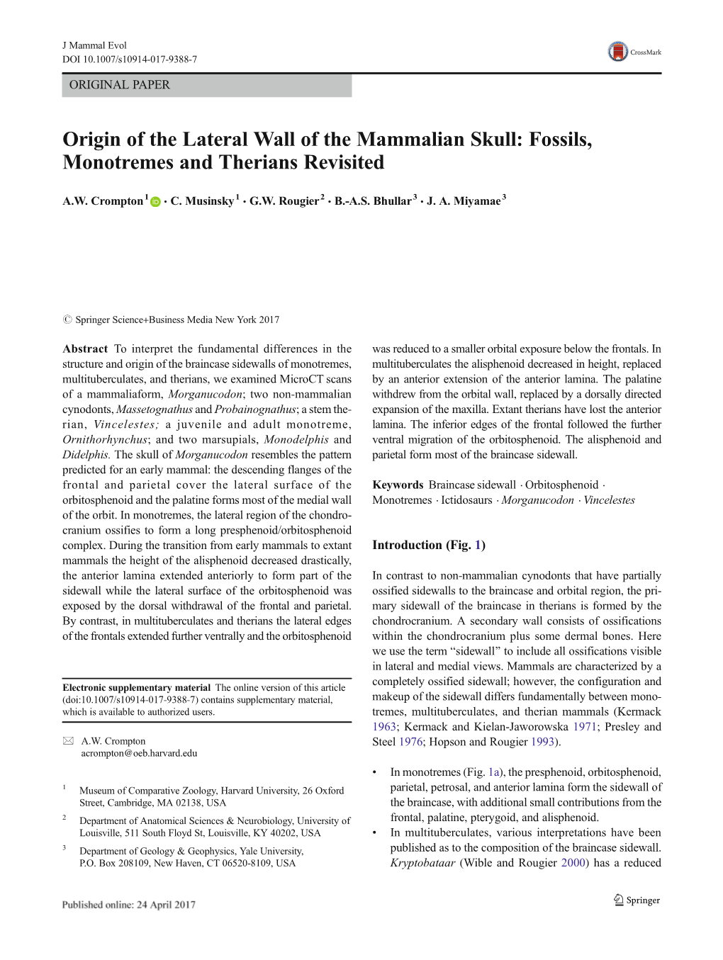 Origin of the Lateral Wall of the Mammalian Skull: Fossils, Monotremes and Therians Revisited