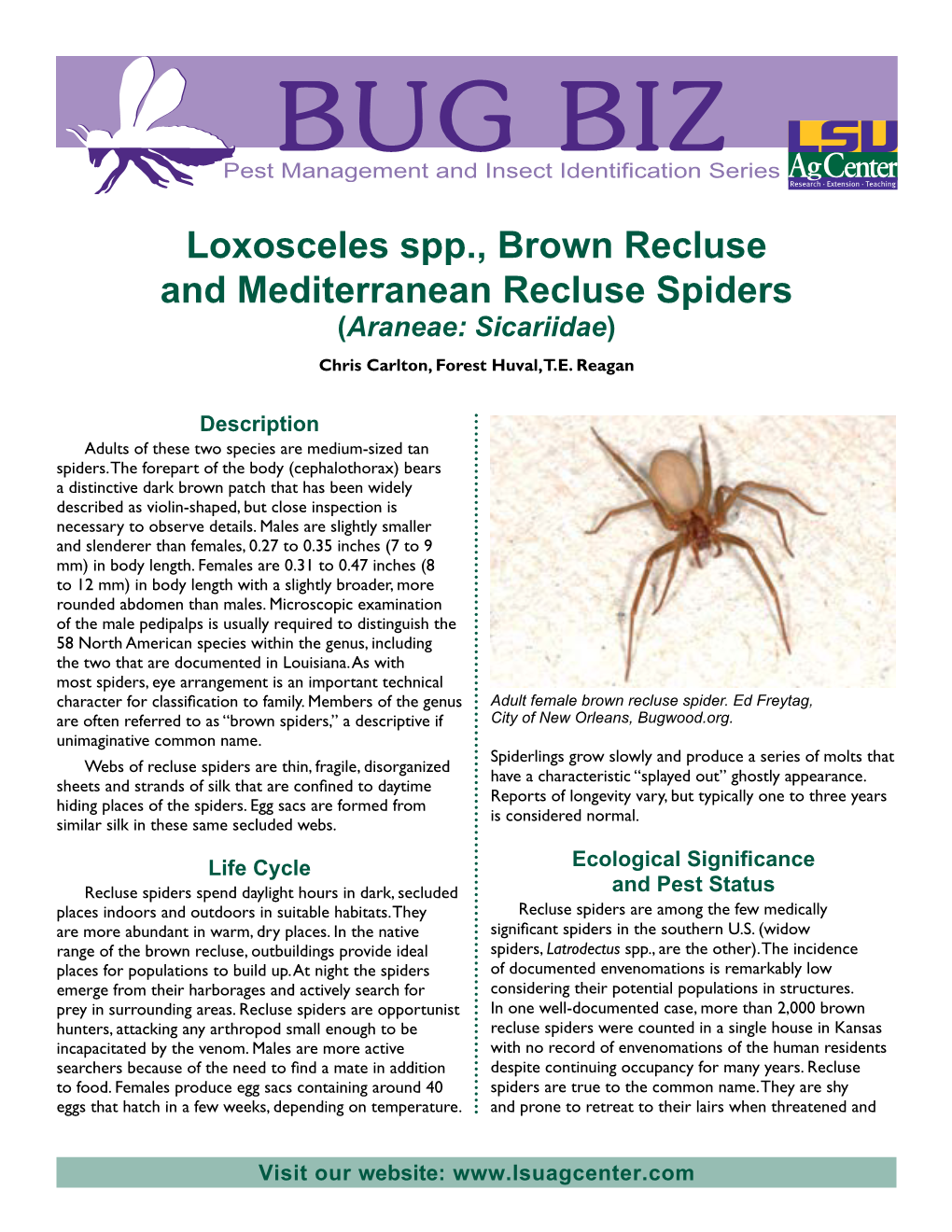 Loxosceles Spp., Brown Recluse and Mediterranean Recluse Spiders (Araneae: Sicariidae) Chris Carlton, Forest Huval, T.E