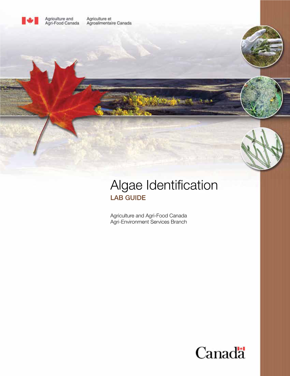 Algae Identification Lab Guide