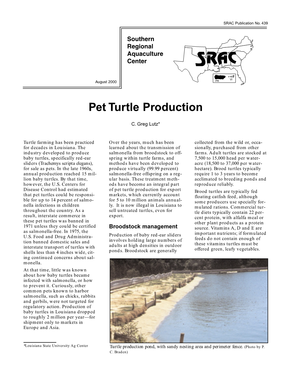 Pet Turtle Production