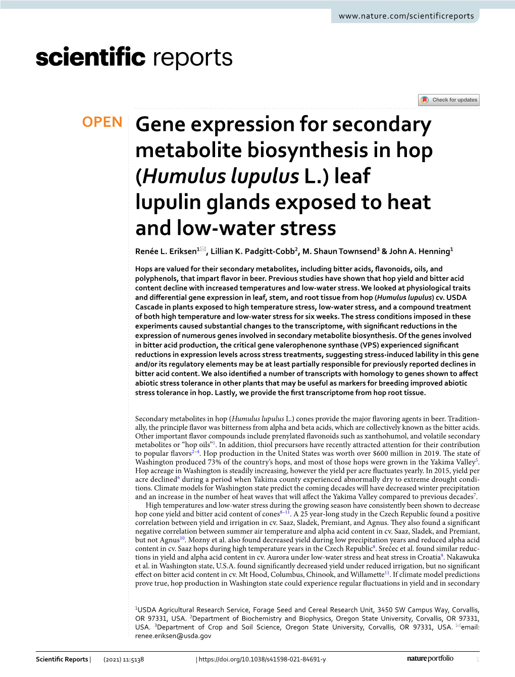 Gene Expression for Secondary Metabolite Biosynthesis in Hop (Humulus Lupulus L.) Leaf Lupulin Glands Exposed to Heat and Low‑Water Stress Renée L