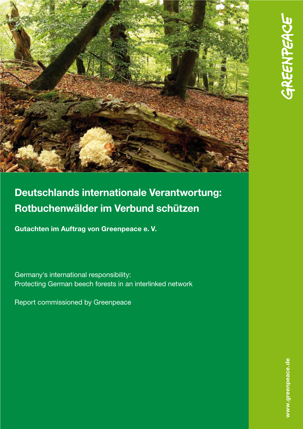 Gutachten: Rotbuchenwälder Im Verbund Schützen | Greenpeace