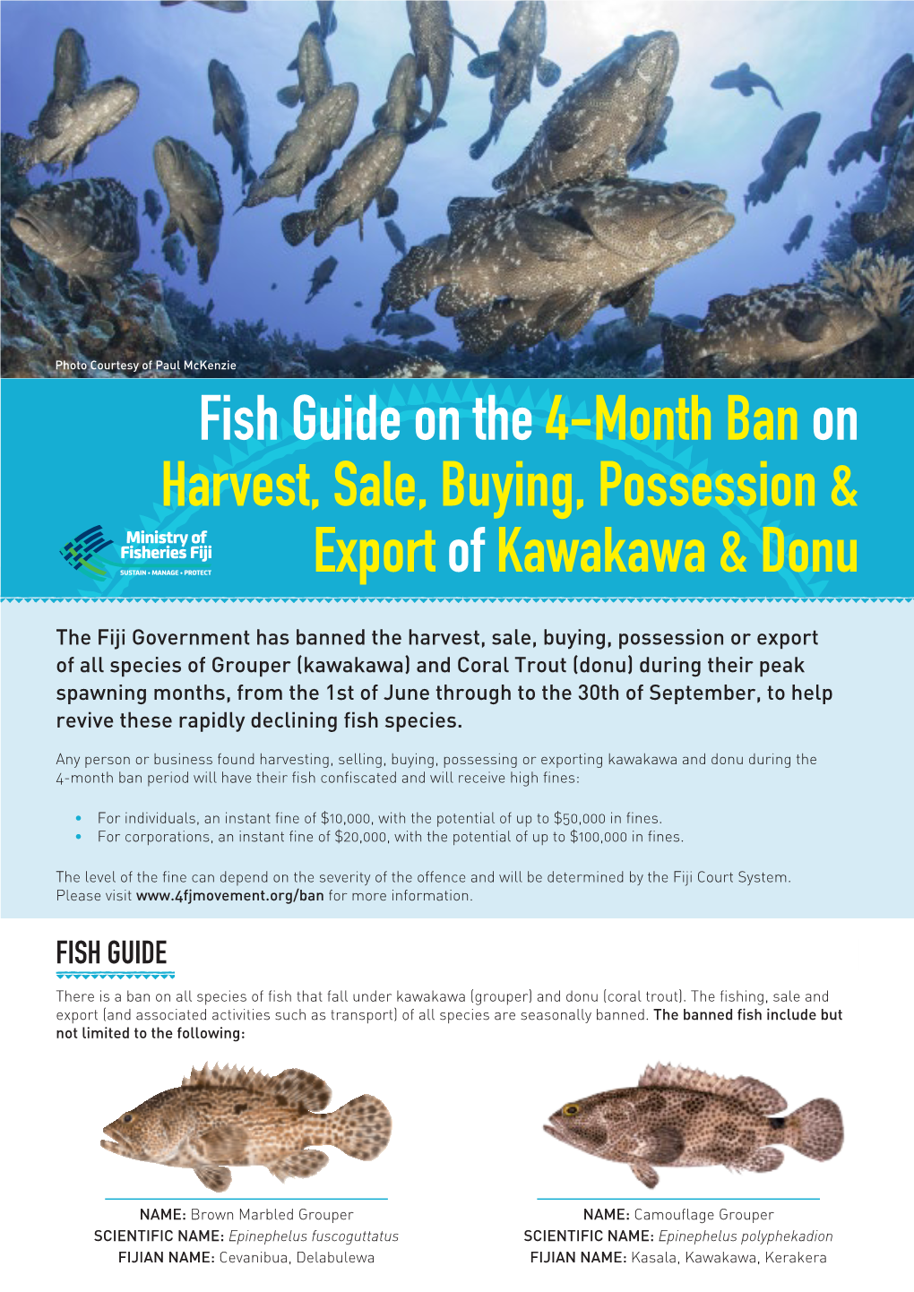 Fish Guide on the 4-Month Banon Harvest, Sale, Buying, Possession