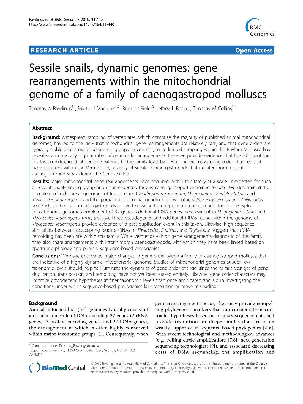 Gene Rearrangements Within the Mitochondrial Genome of a Family of Caenogastropod Molluscs