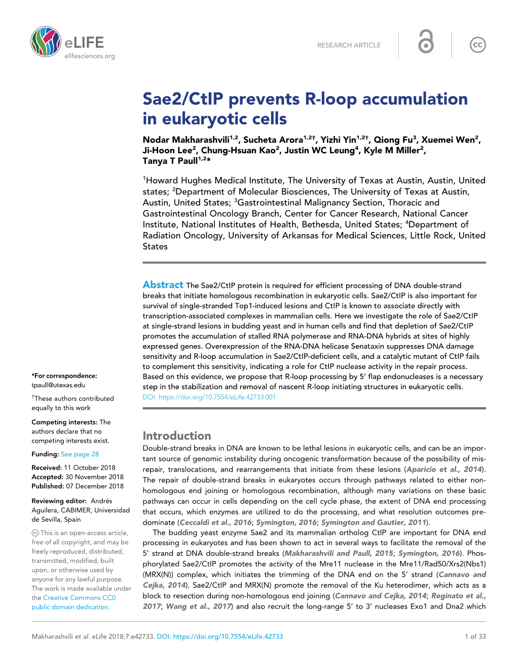 Sae2/Ctip Prevents R-Loop Accumulation in Eukaryotic Cells