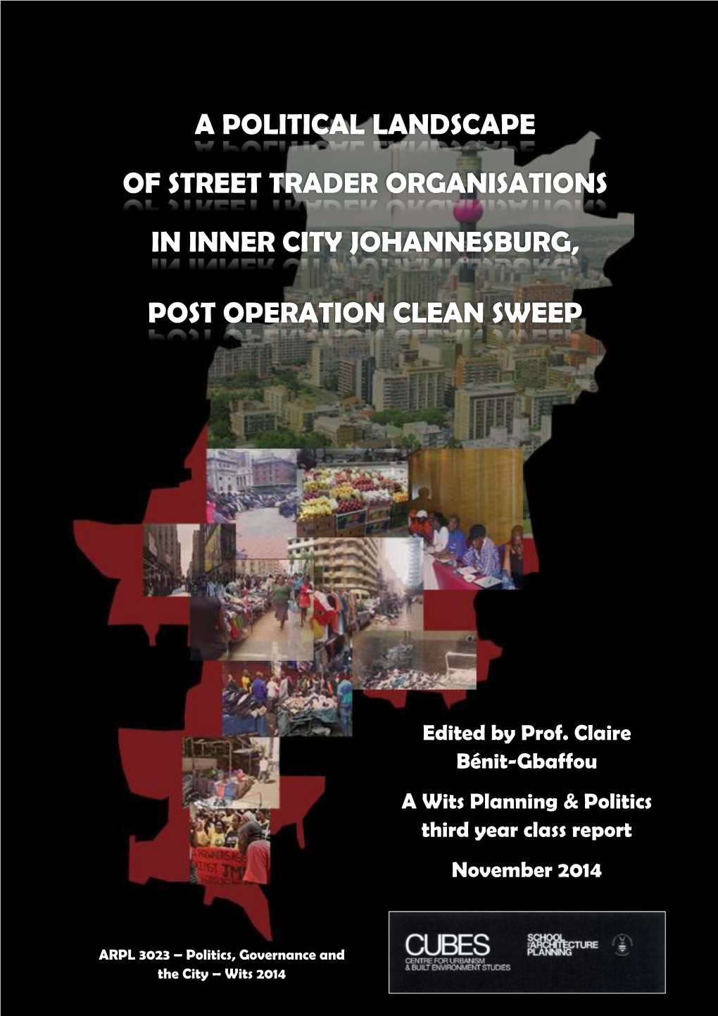 A Political Landscape of Street Trader Organisations in Inner City Johannesburg, Post Operation Clean Sweep