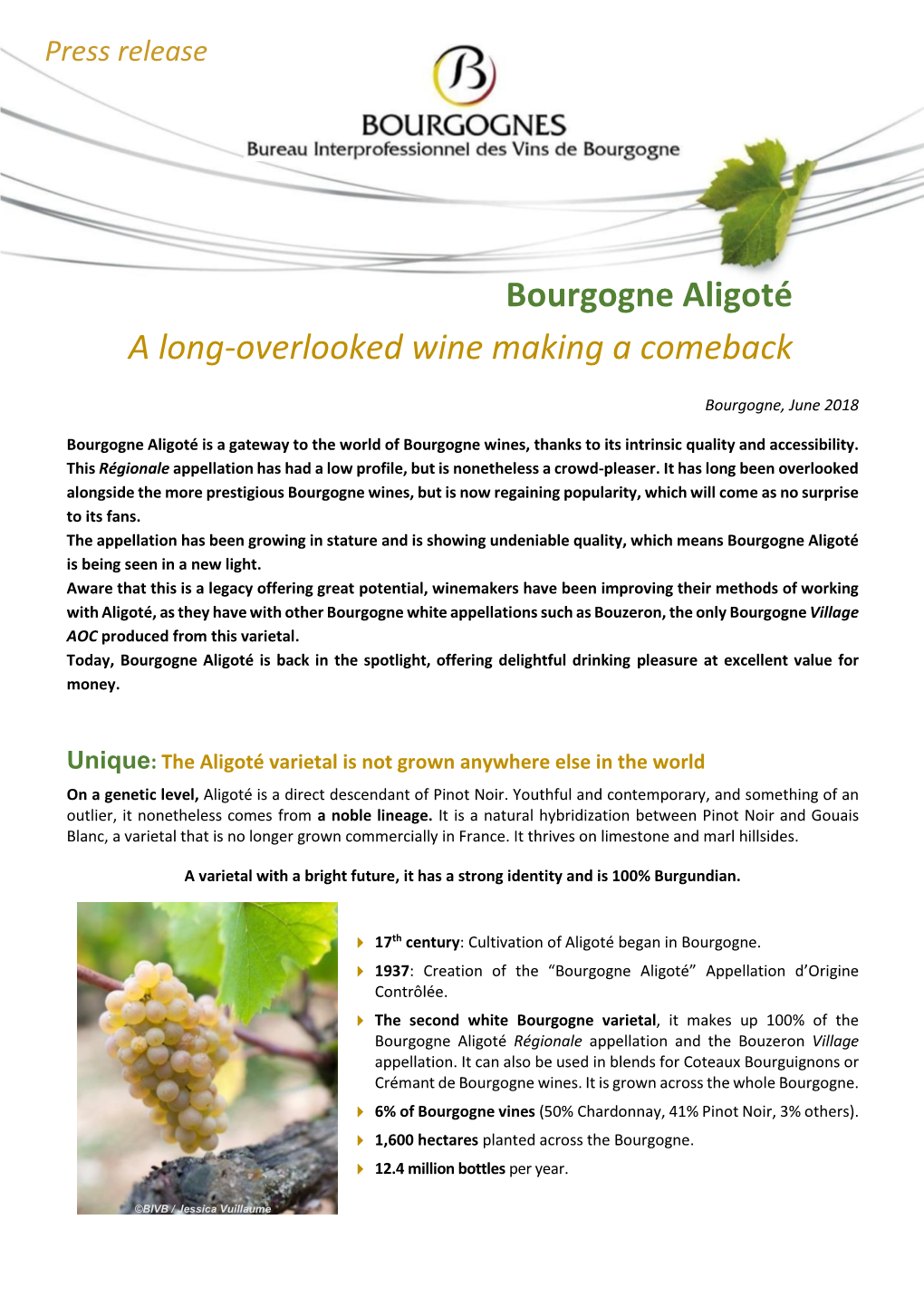 About Bourgogne Aligoté