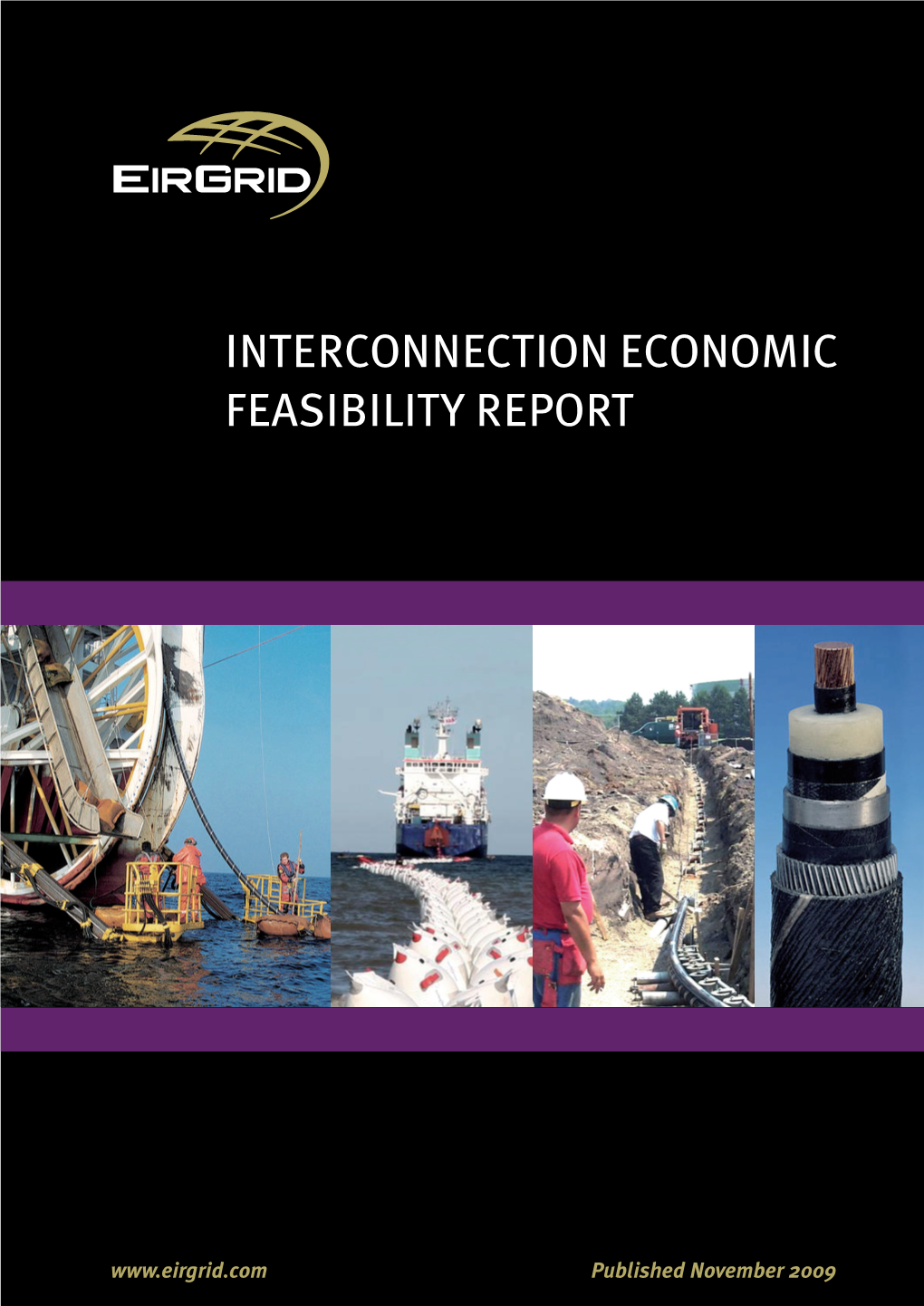 Interconnection Economic Feasibility Report