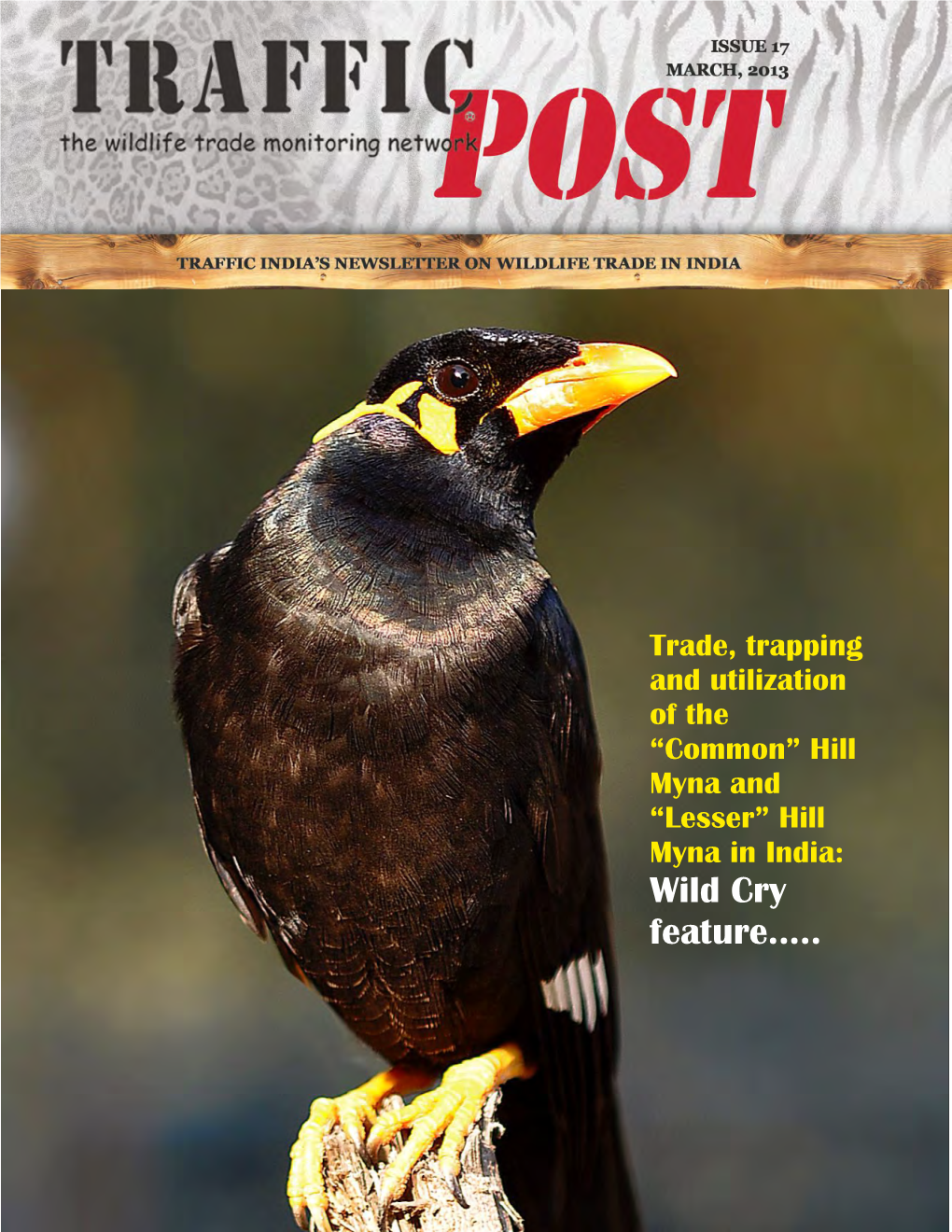 Hill Myna and “Lesser” Hill Myna in India: Wild Cry Feature