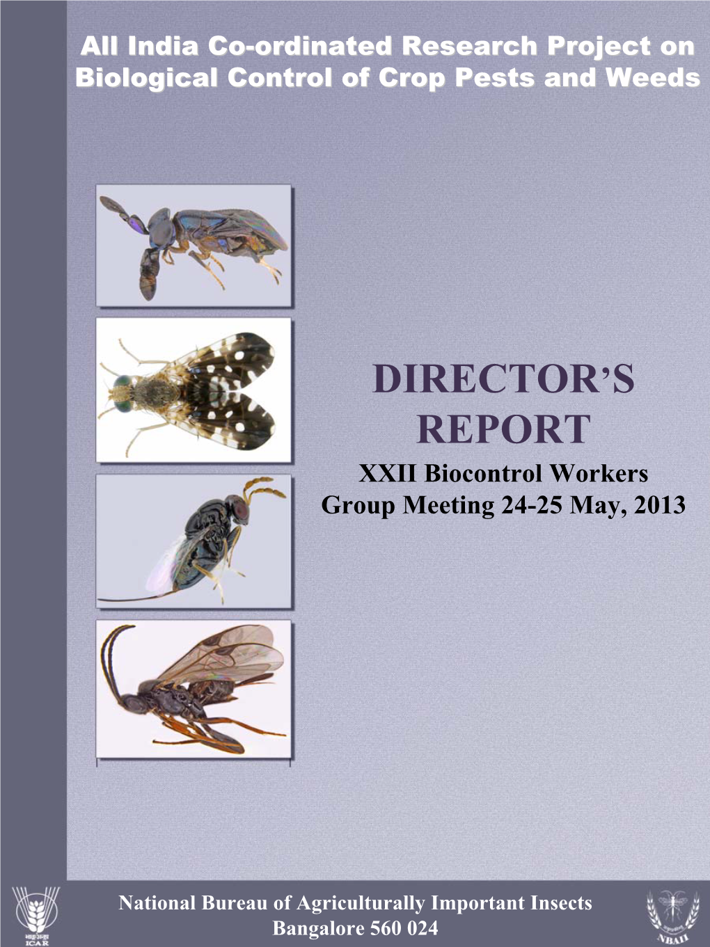 Director's Report