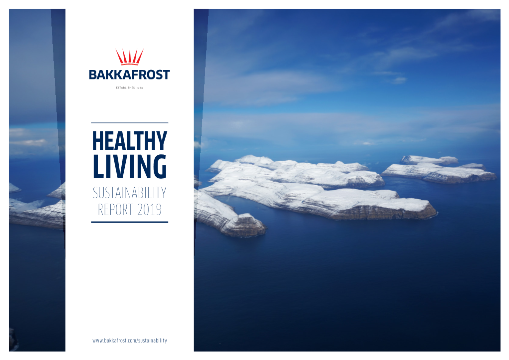 Living Sustainability Report 2019